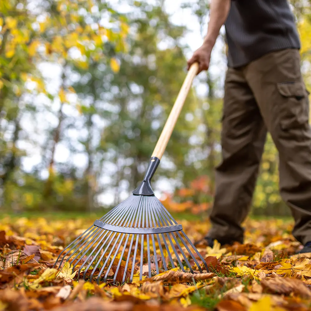 Blätter im Herbst zusammenfegen