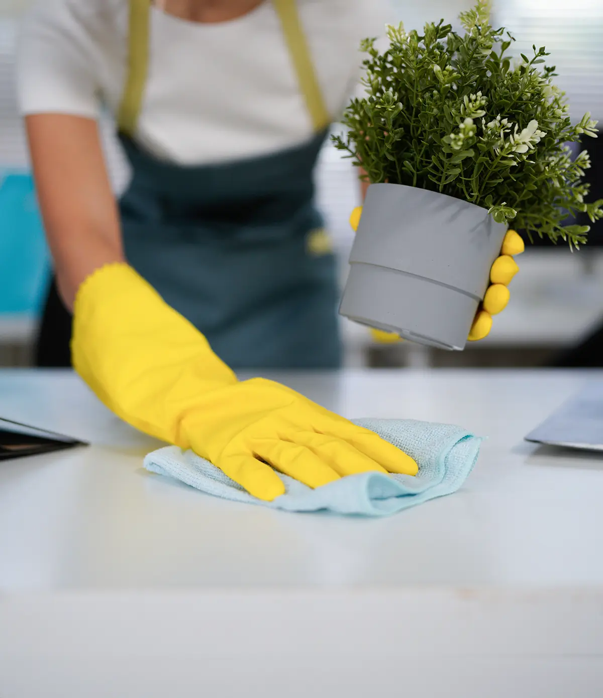 Junge Frau in gelben Handschuhen putzt den Tisch im Büro. - Büroreinigng - Hanover